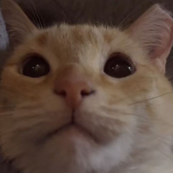 i’m not selling anything lol - Picture 1 of 1